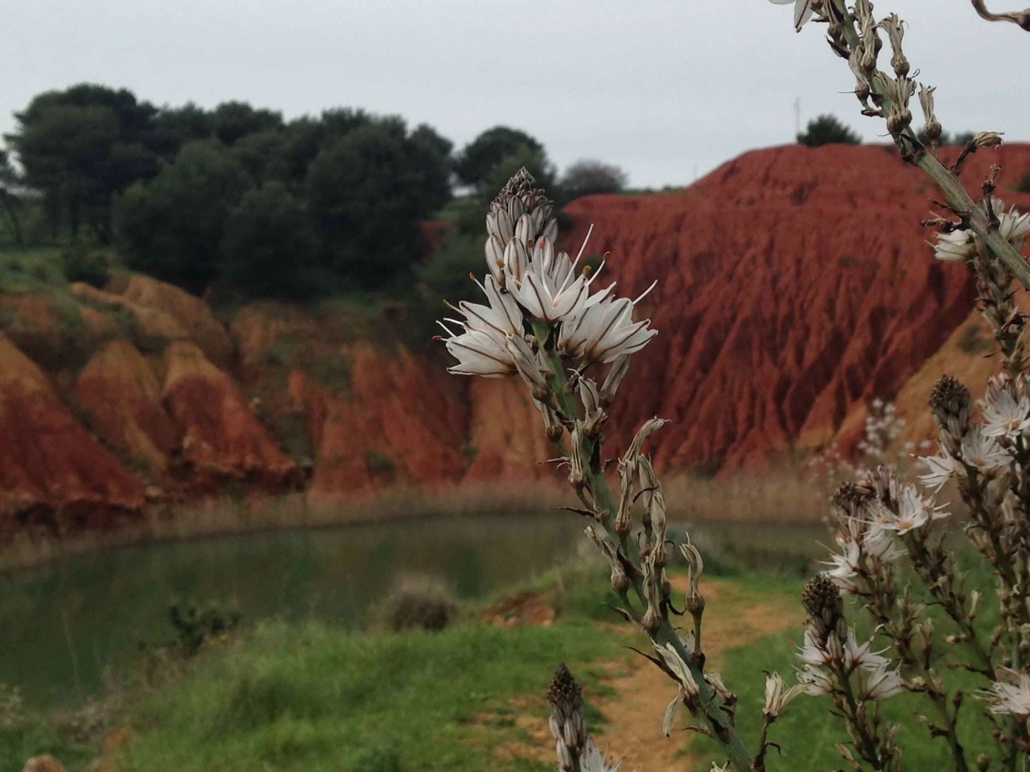 Casalino Raffaella Cava Di Bauxite Foto Ed
