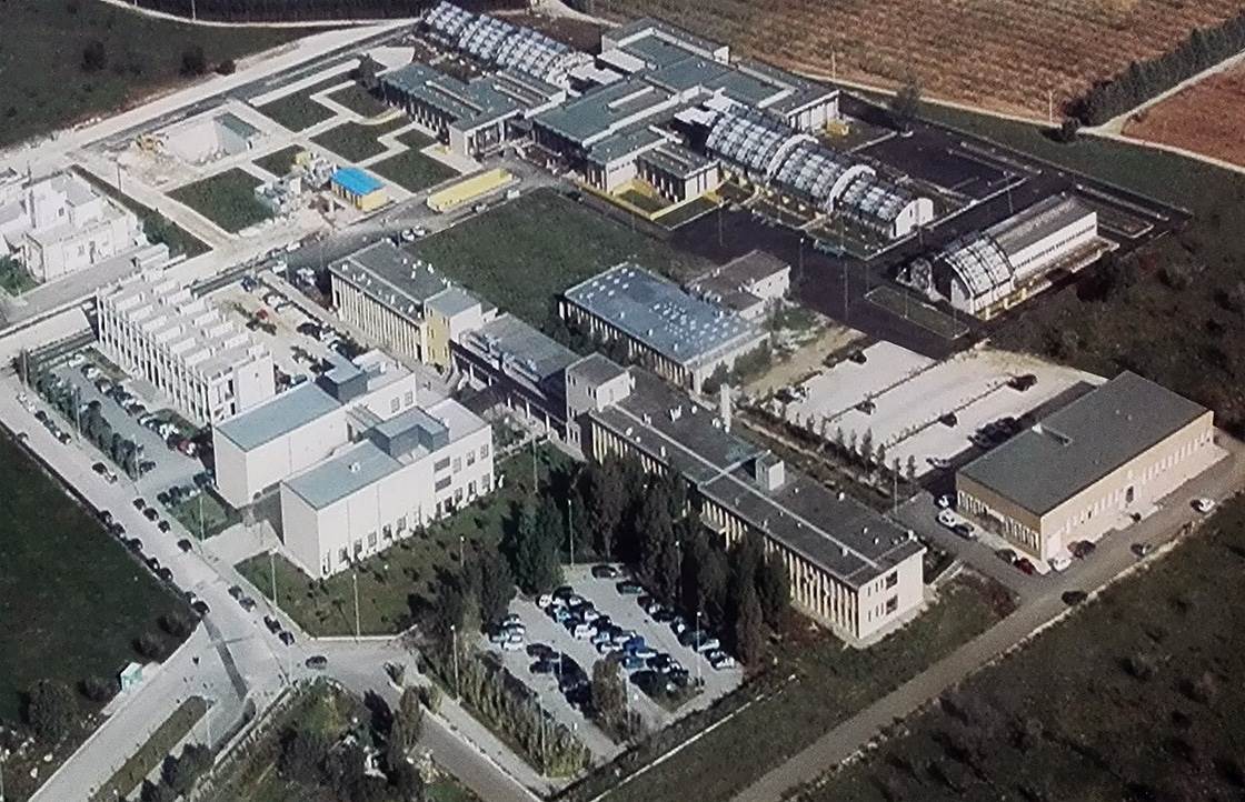 Università, la laurea in Veterinaria riconosciuta a livello europeo