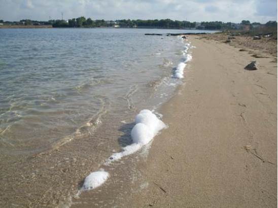 Ammasso di schiuma in una spiaggia a Porto Cesareo (LE)