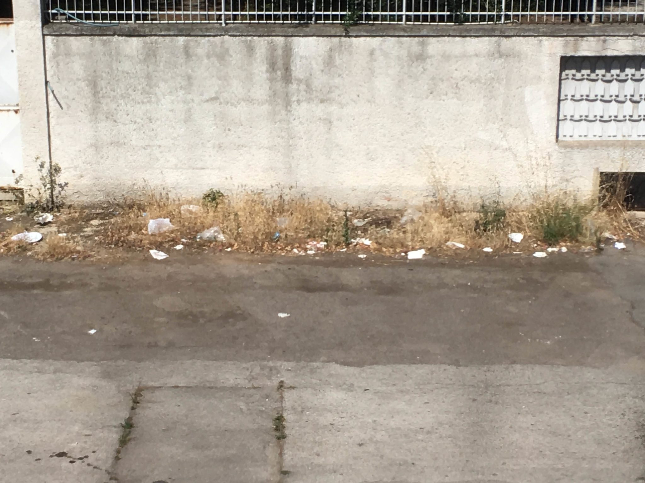 Rifiuti in via Mario Adamo