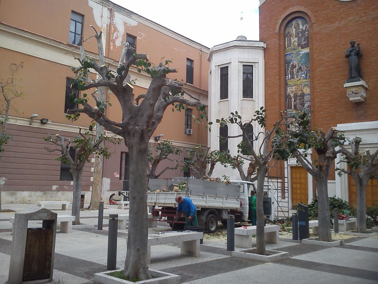 alberi potati in piazza Sant'Antonio