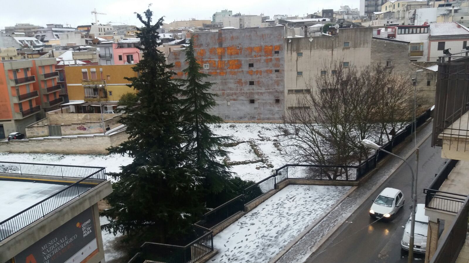 Neve Altamura