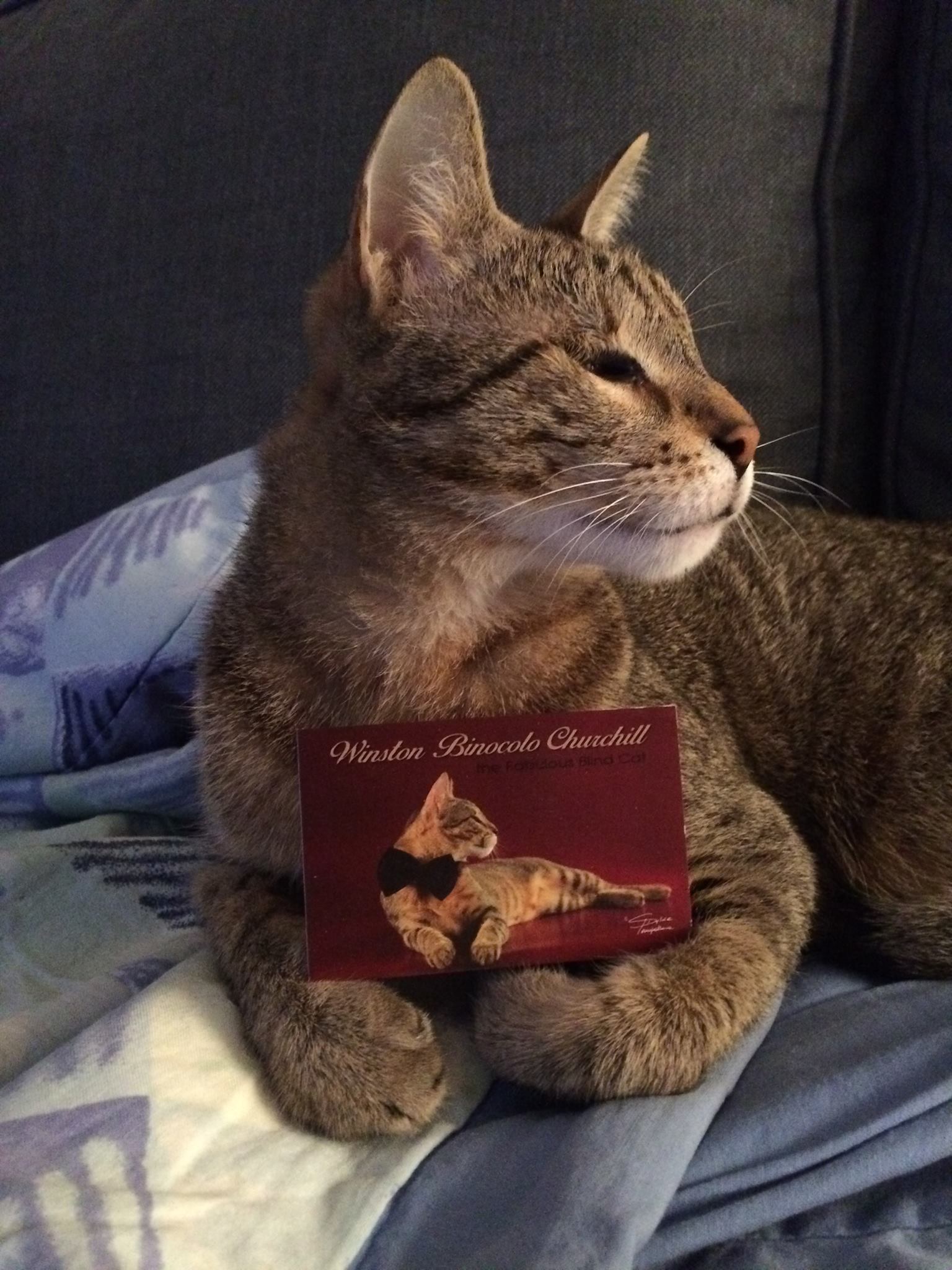 Winston Binocolo Churchill