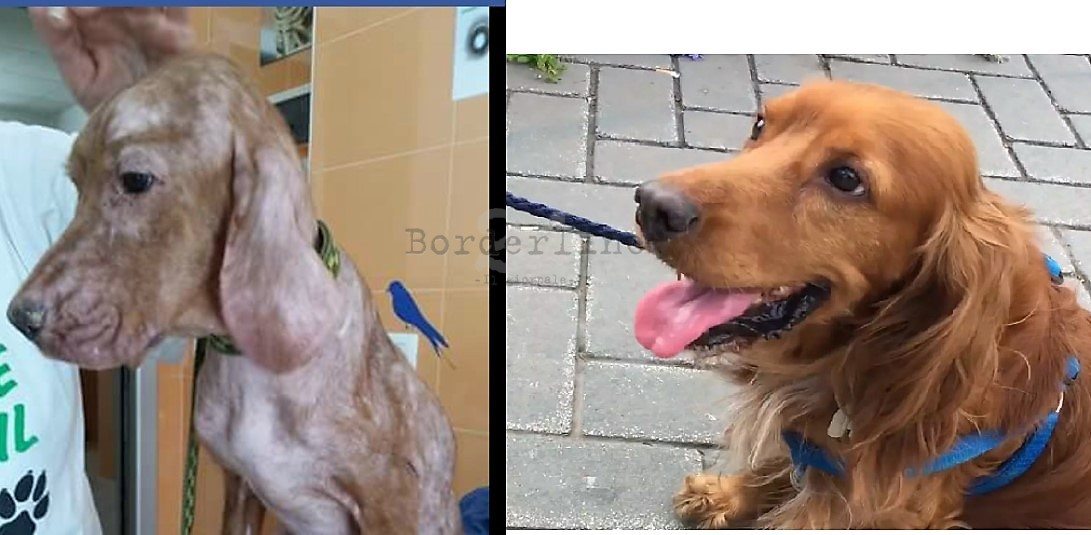 Aron, prima e dopo l'adozione