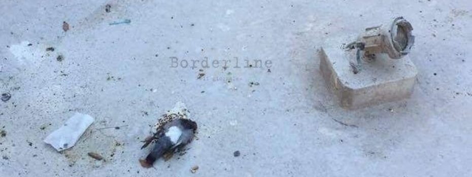 Borderline24.com