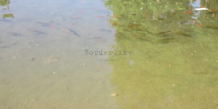 Borderline24.com