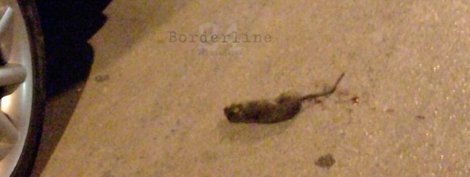 Borderline24.com