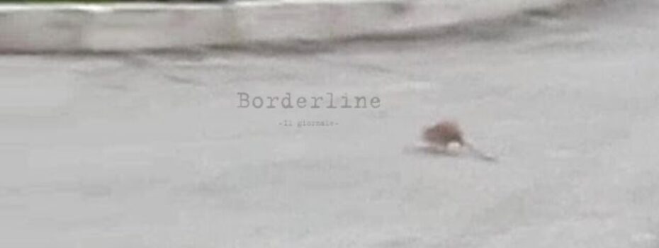 Borderline24.com