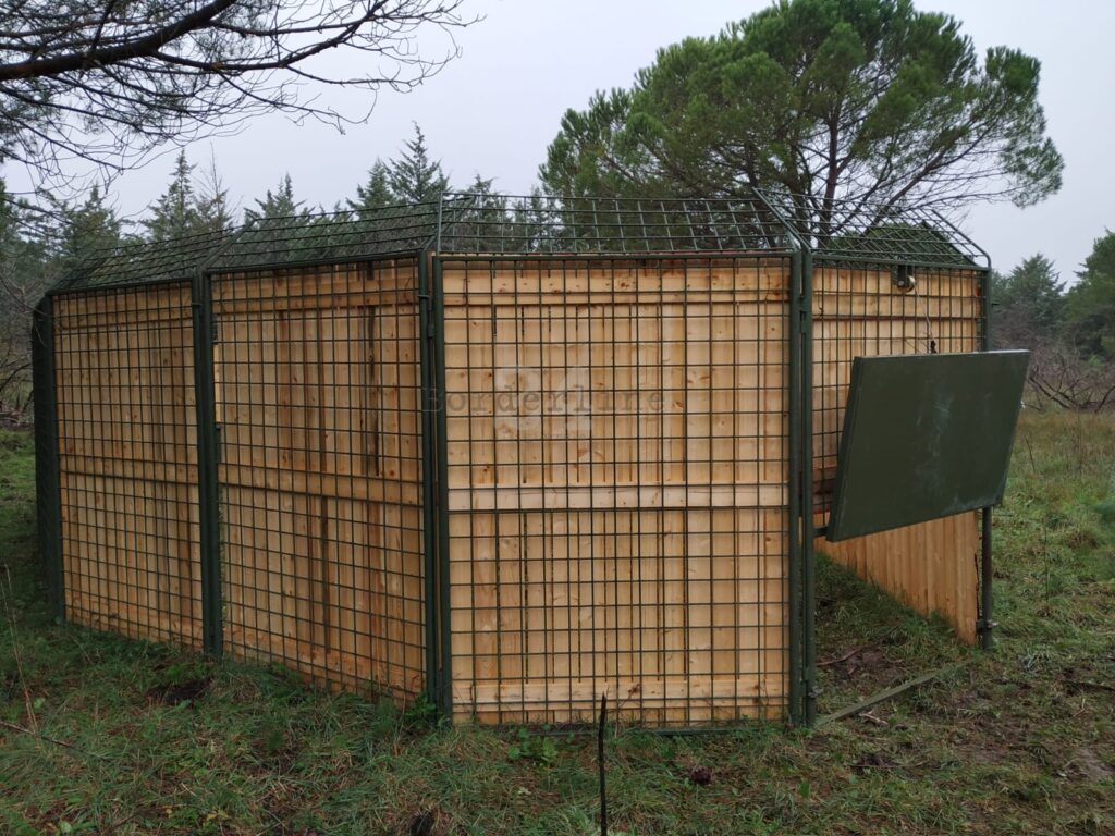 Gabbie Per Api Regina - 10 Pezzi In Plastica, Per Apicoltura