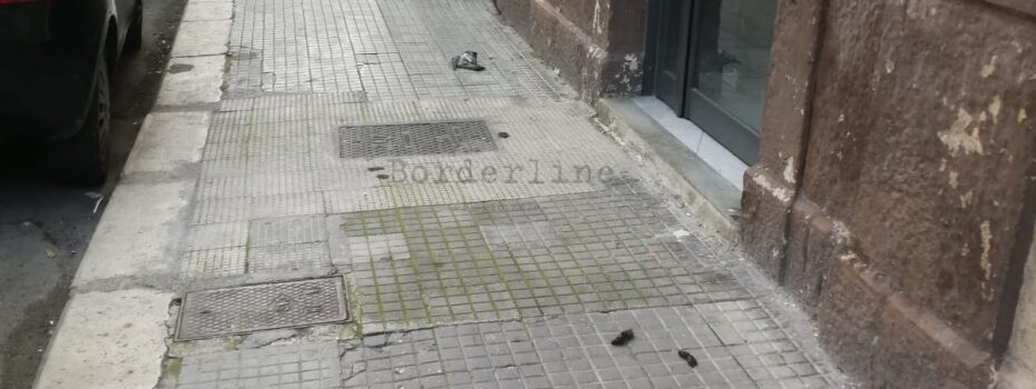 Borderline24.com