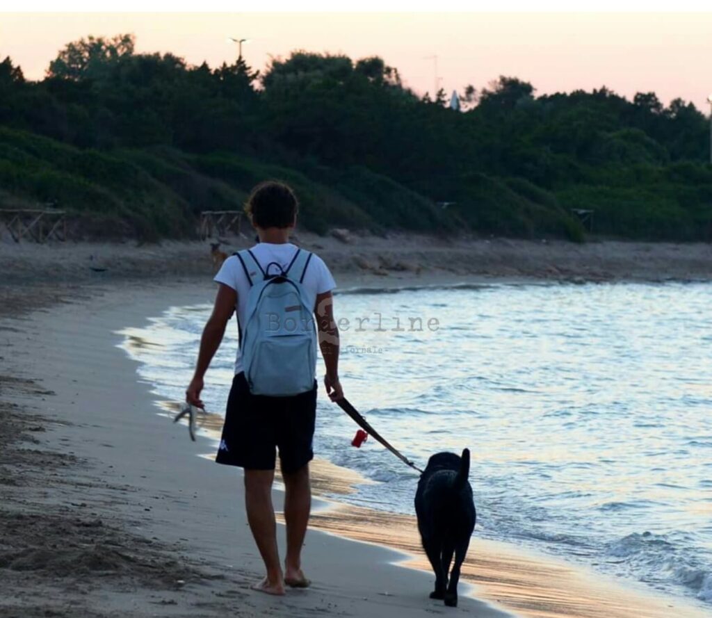 Puzzle - EDUCA - Cani Che Giocano In Spiaggia - 1000 Pezzi - 68 X 48 Cm A Partire Da 12 Anni~p154193142