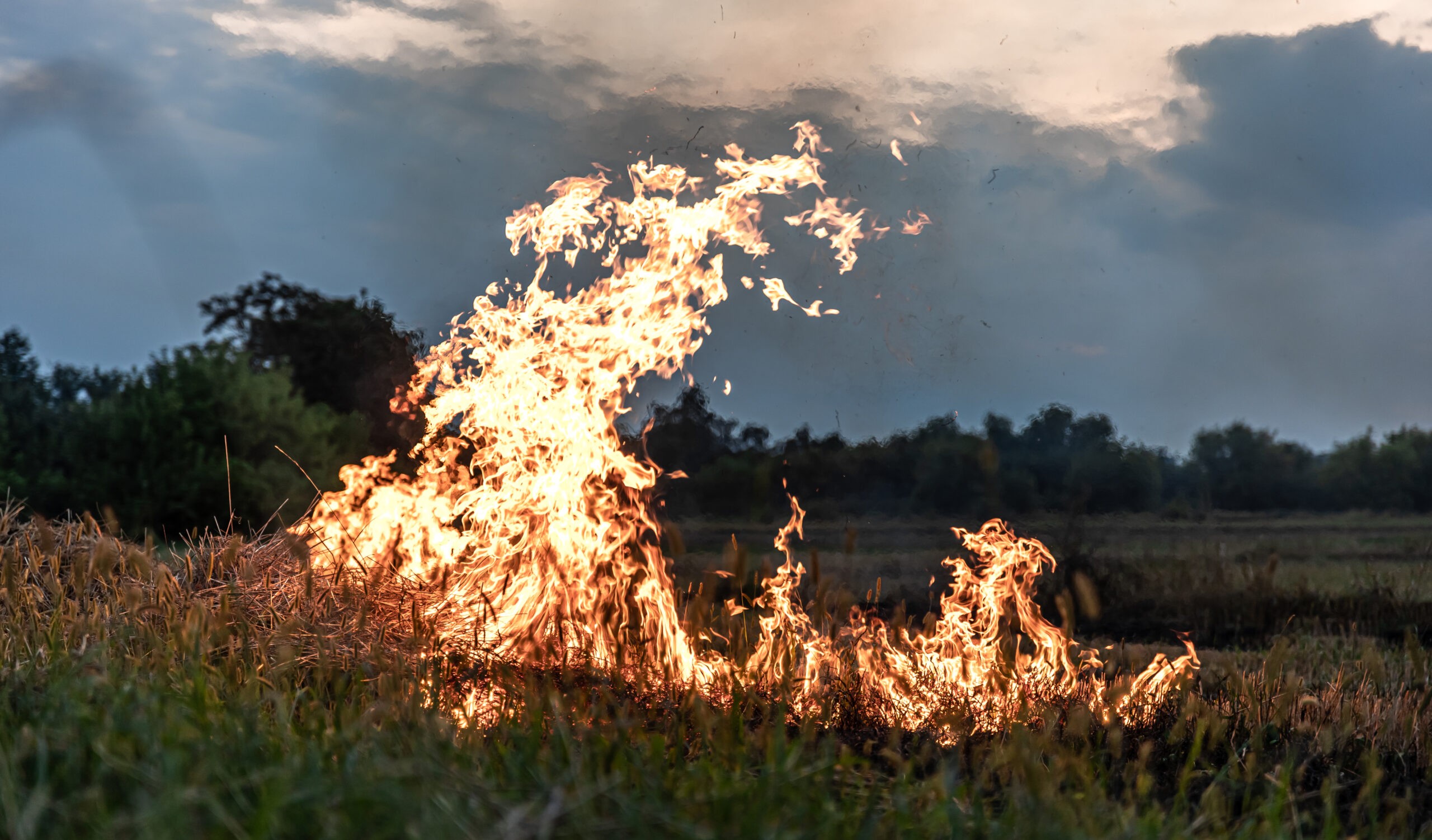 incendio fuoco