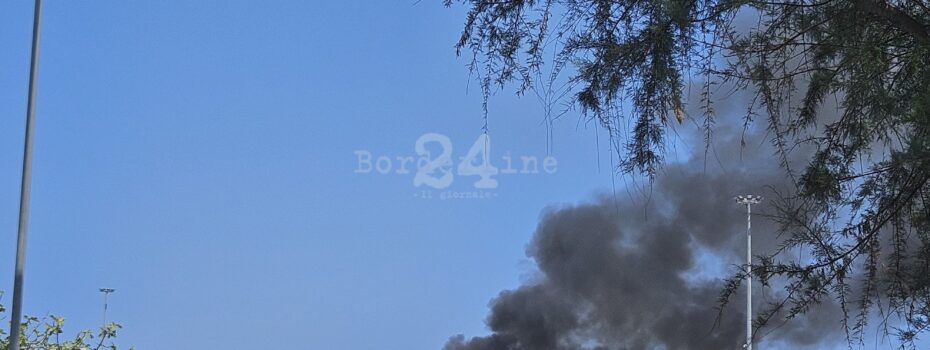 Borderline24.com