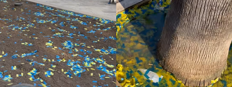 Borderline24.com