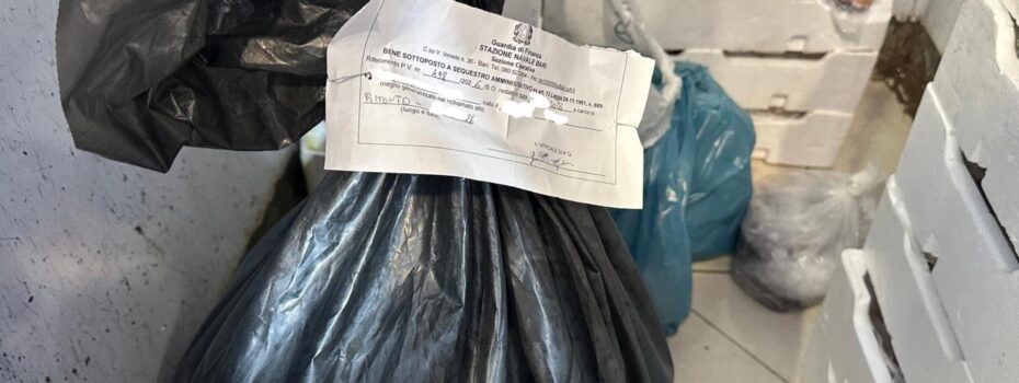 Borderline24.com