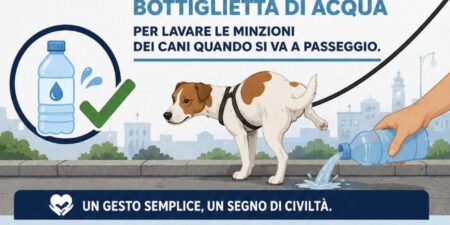 Borderline24.com
