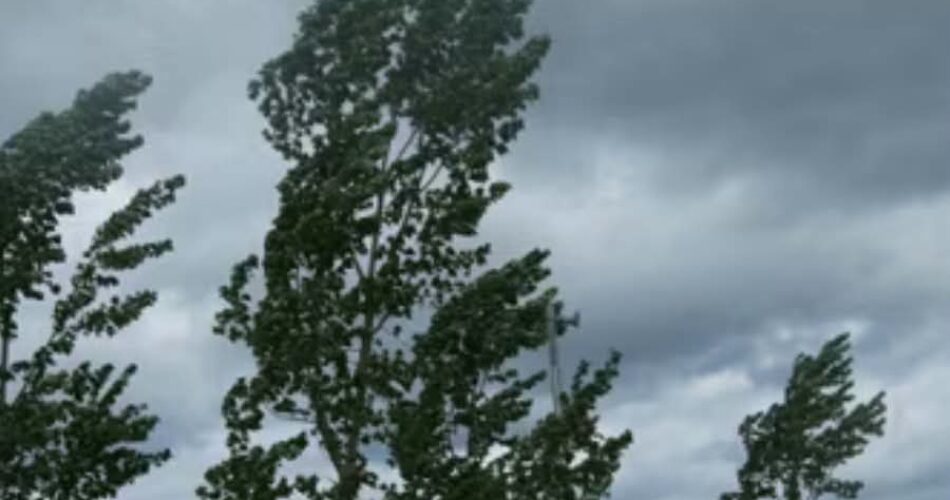 Borderline24.com