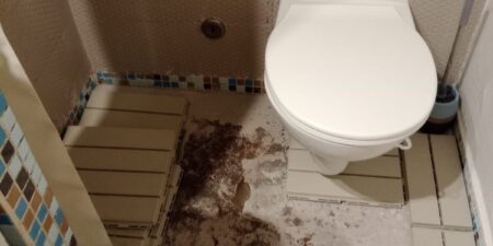 Borderline24.com