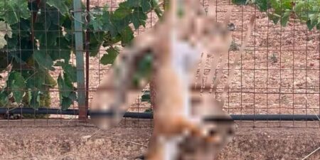 Borderline24.com