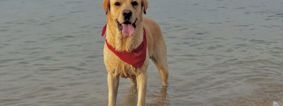 Borderline24.com