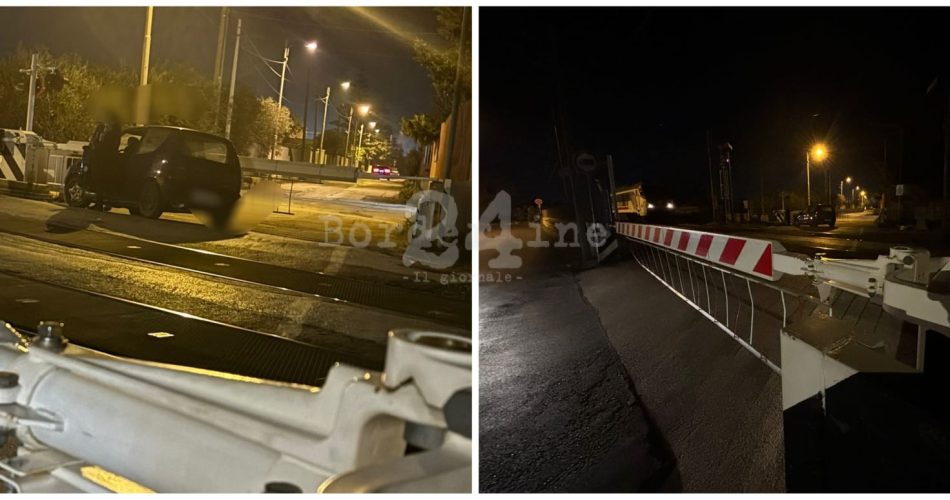 019025e9-9eb8-4ae4-80db-d6c0ad1a16ed