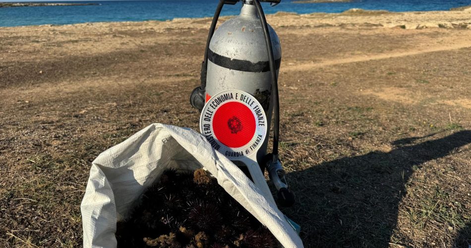 03102025_010828_FOTO 02