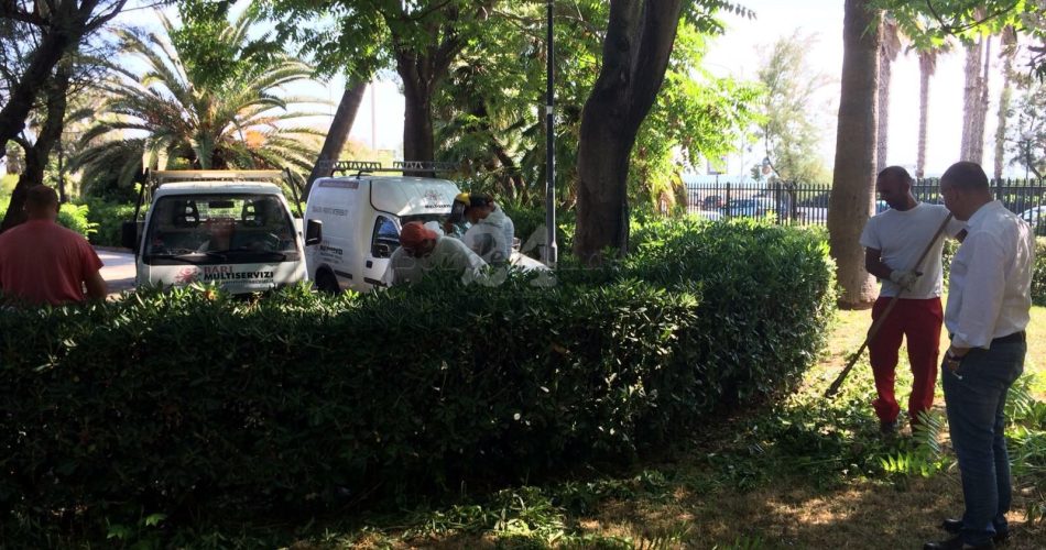 06-06-18 sopralluogo ass. Galasso - giardino Baden Powell