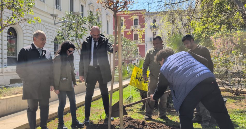 09-04-26 Piazza Idea_stamattina il sindaco Leccese alla piantumazione dell'albero dedicato alle vittime innocenti delle mafie_1