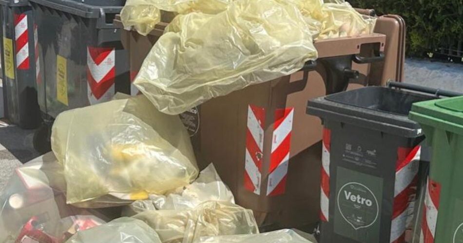 09-06-26 ordinanza sul corretto conferimento dei rifiuti_notificata la prima chiusura di un’attività commerciale per reiterato abbandono di rifiuti