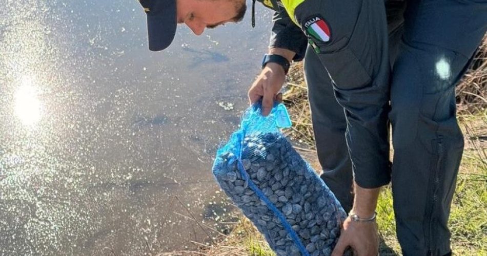 11122025_081806_FOTO 03