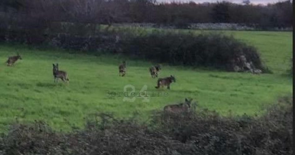 124491b4-ccae-4a82-b1c7-a7cfb376a1d1 (1)