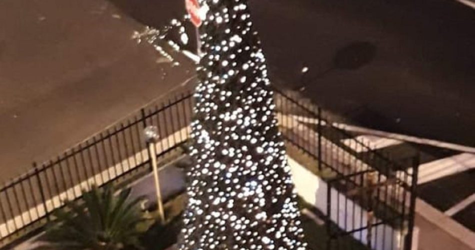 129640030_1596973317357324_369213133112958398_n