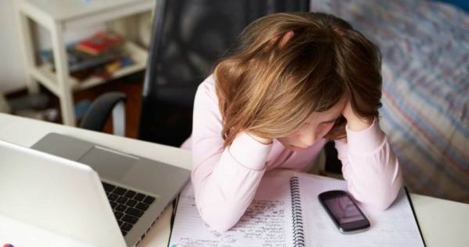 Cyber Bully Shutterstock E