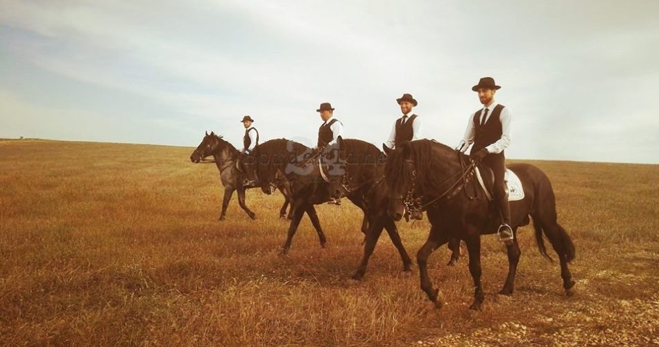 14520402_987297734730129_6018696959694023264_n