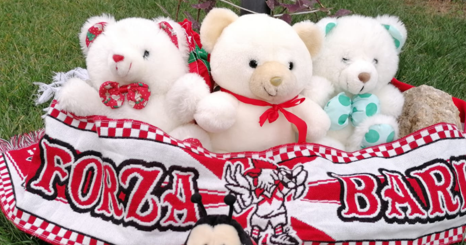 1524-h6NFd5o85E95C6GeOfTn