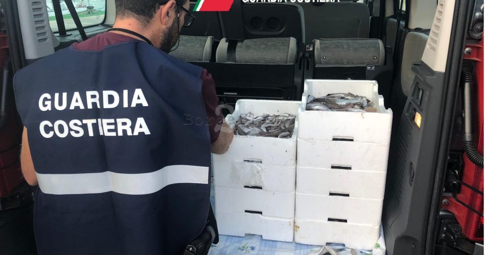 1567766027263_foto 1