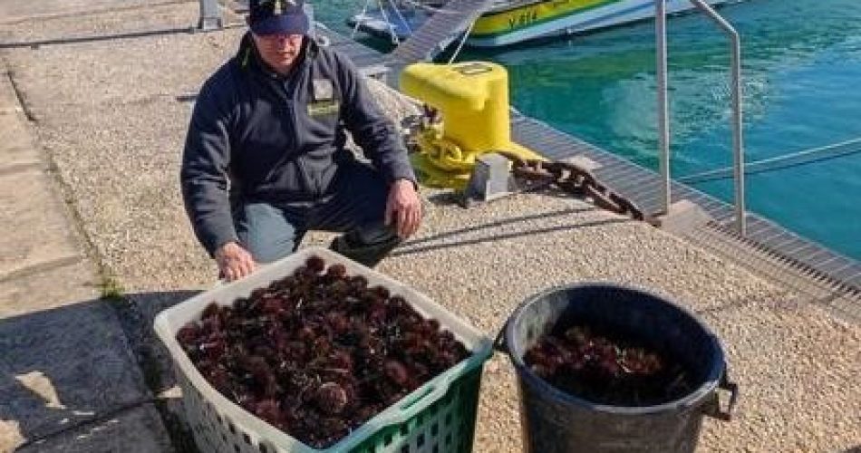 16022023_084138_FOTO TA ricci