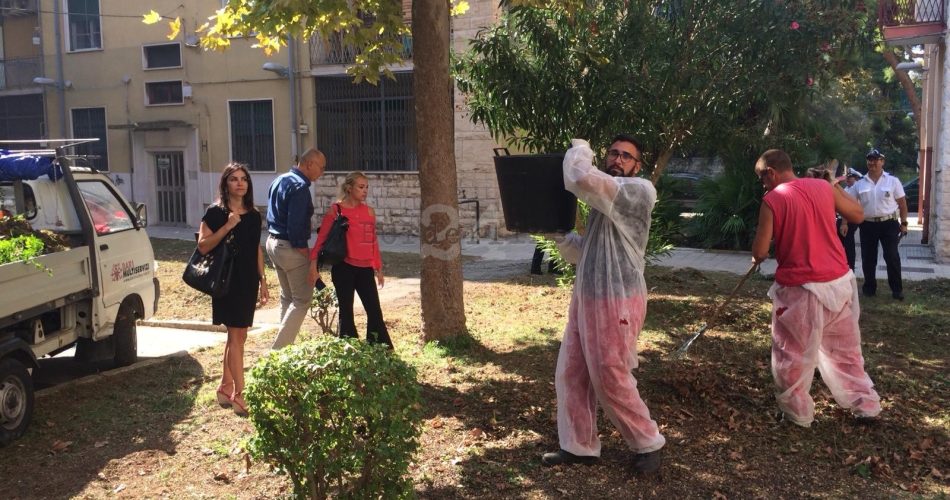 17-09-18 sopralluogo lavori di manutenzione aree palazzine ex arca viale japigia 2