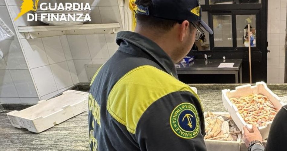 17032026_081935_IMG_foto 02