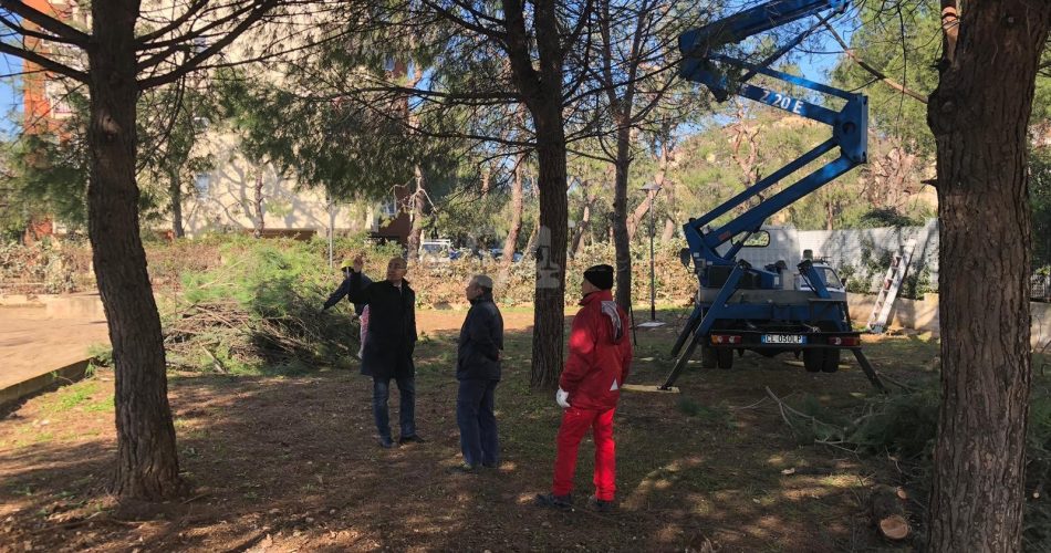 19-02-19 oltre 3000 potature negli ultimi 4 mesi