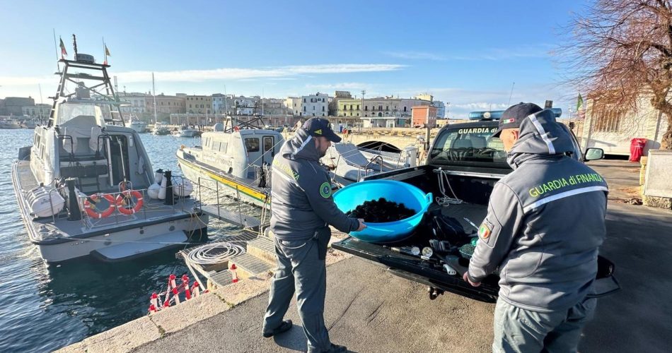 19012026_093757_FOTO 03