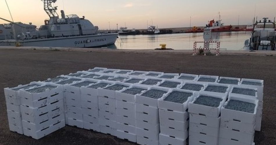 Sequestrata a Bari una tonnellata di bianchetto