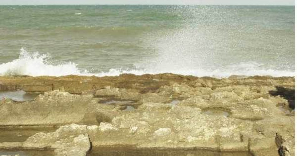 Sea And The City Locandina Workshop E