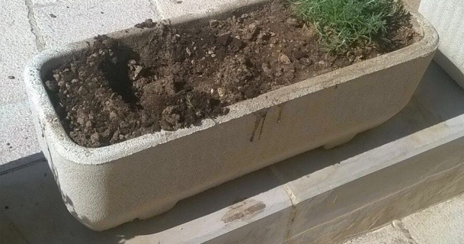 21-03-17 furto piantine all'urban center 1