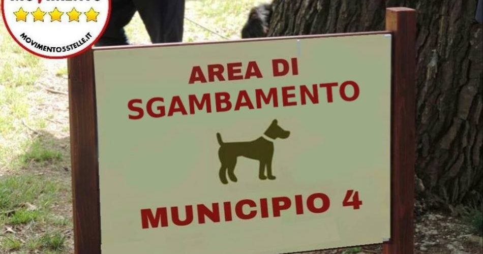 cani municipio quattro