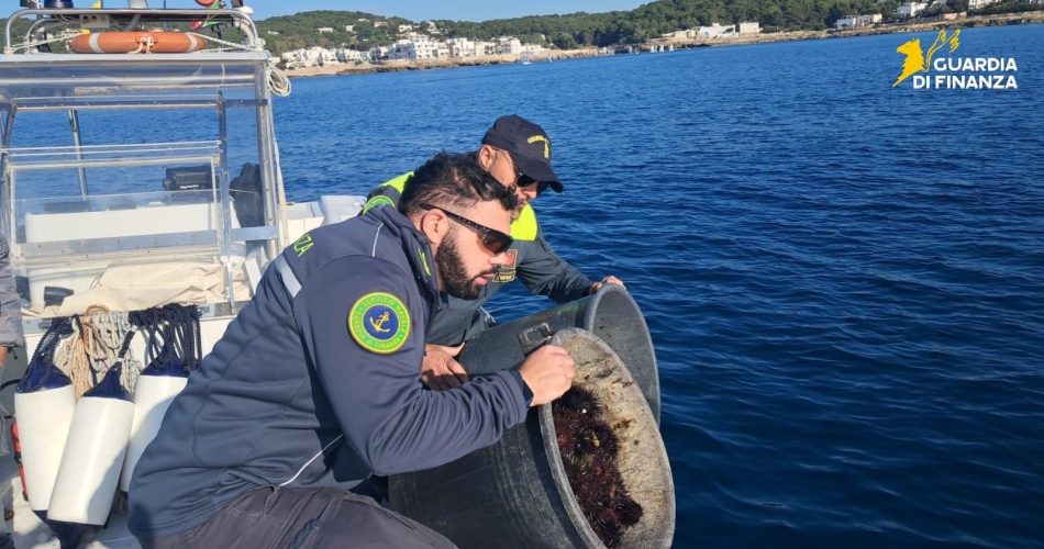 23122025_121253_Foto ricci