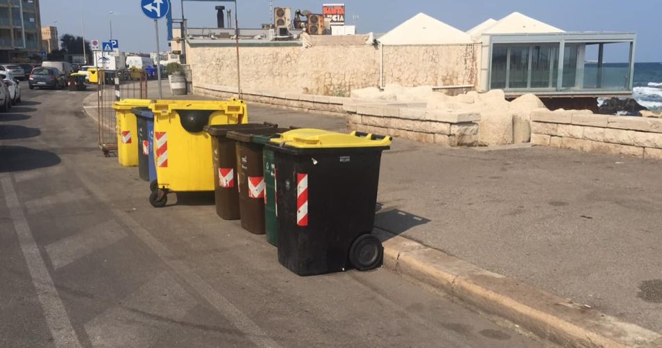 239941738_10223235511109744_3939396486273319189_n