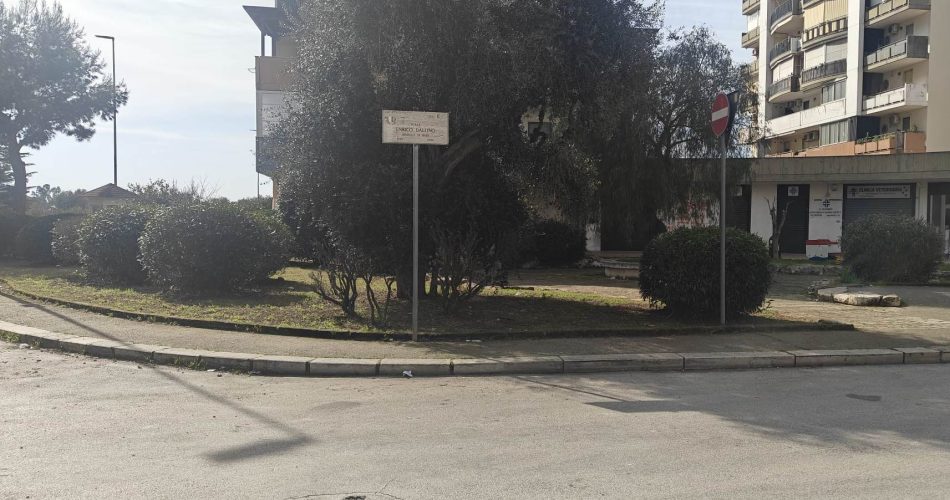 24-02-26 prese in consegna 12 aree verdi nel quartiere Nuova San Paolo_questa mattina il passaggio ufficiale in presenza dell’assessore alla cura del territorio_1