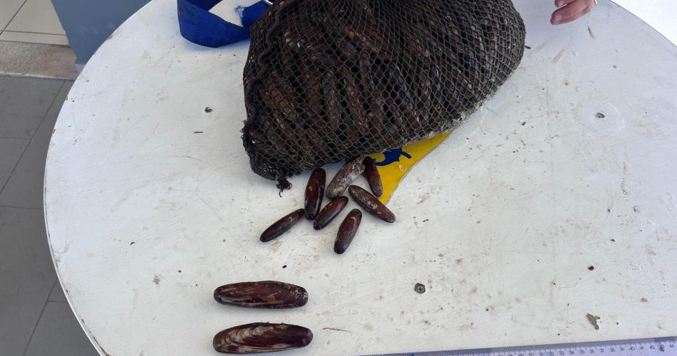 24022026_082122_FOTO 04