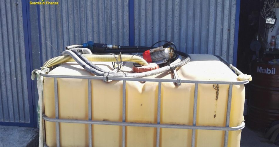 25022023_074525_Foto 4